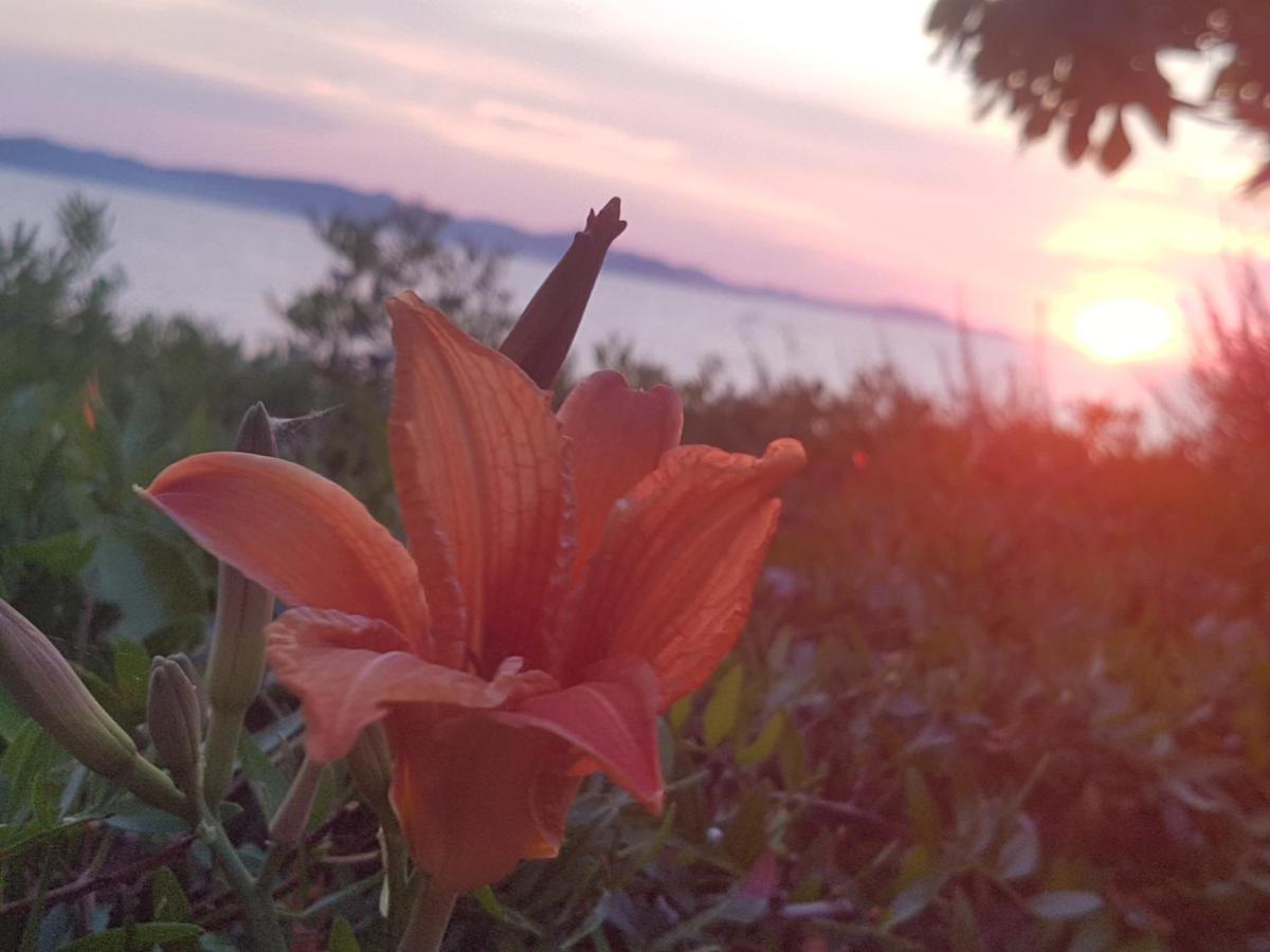 Villa Ivan Bibinje Esterno foto